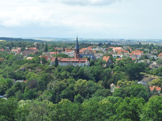 Blick vom Reilsberg (Zoo Halle) auf den gründerzeitlichen Norden der Stadt Halle