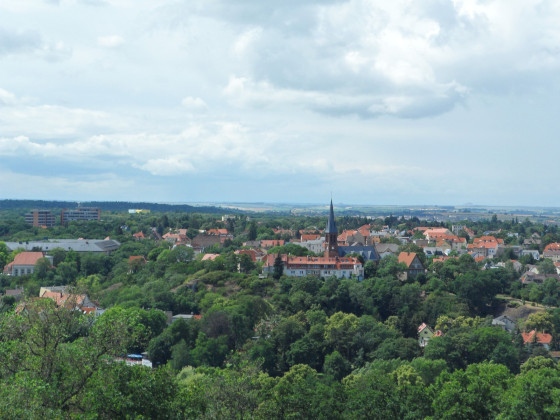 Blick vom Reilsberg (Zoo Halle) auf den gründerzeitlichen Norden der Stadt Halle