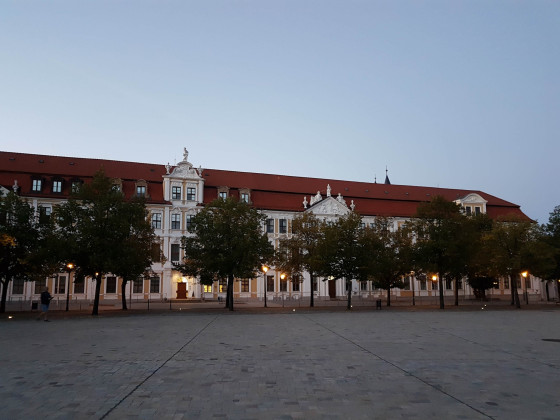 Magdeburg Domplatz 2020