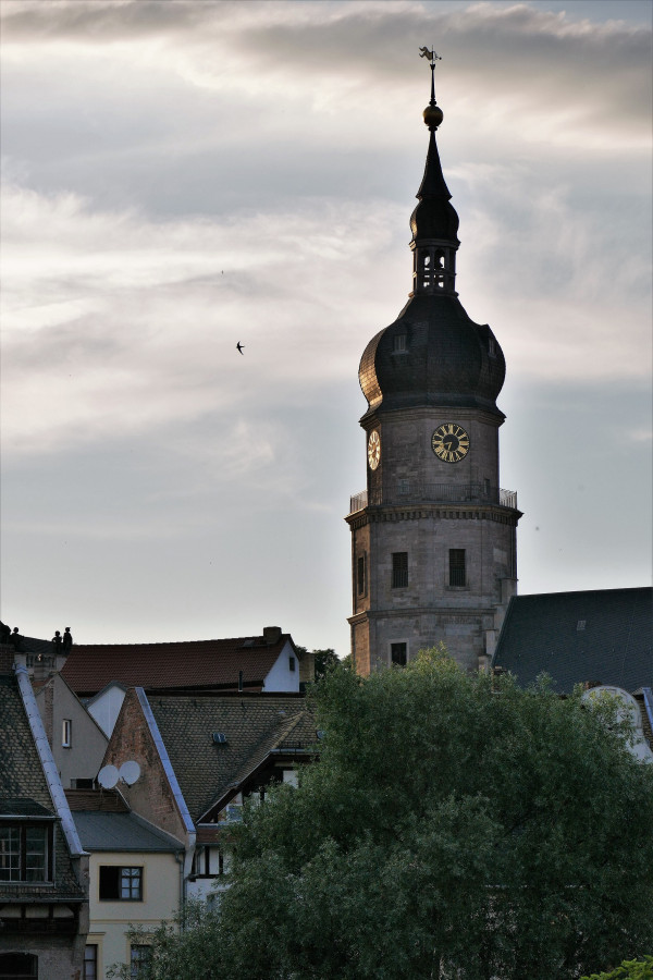 Altenburg16