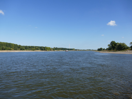 Rhein4