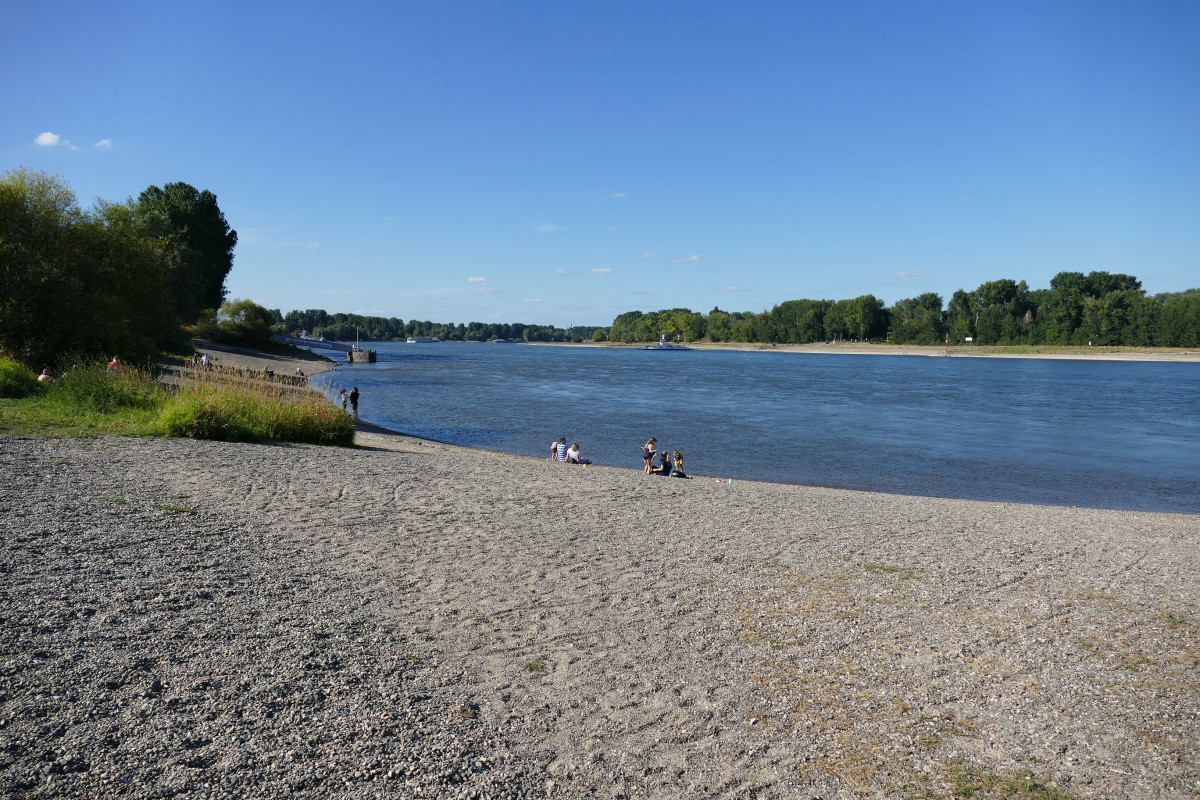 Rhein6