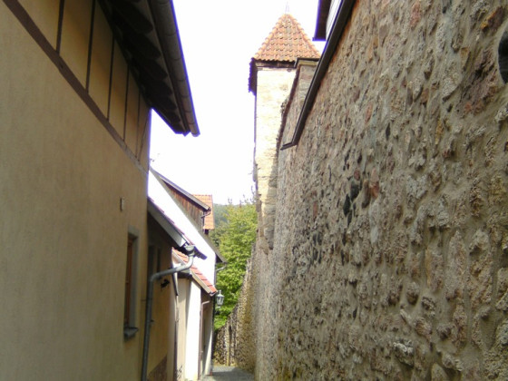 Stadtmauer (7)