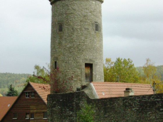 Schneckenturm in der NO-Ecke der Röttinger Stadtmauer ( Zustand von 2008 )