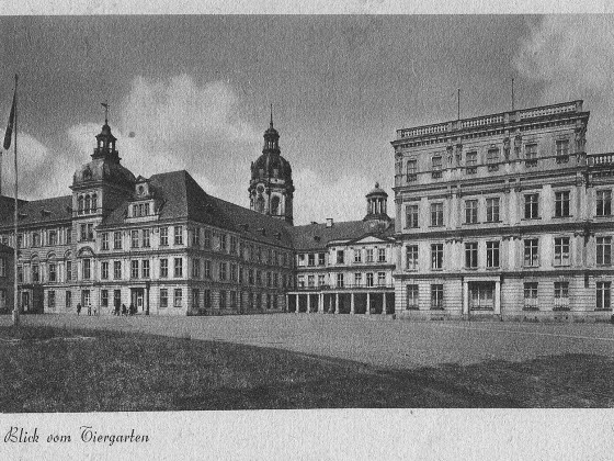 Tiergarten-Ansicht Neustrelitzer Schloss nach 1909
