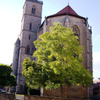 Stadtkirche (1)